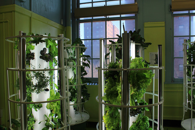  Vertical towers that recirculate water allow students at Public School 55 in the South Bronx to grow fresh produce year-round. By Elizabeth Arakelian 