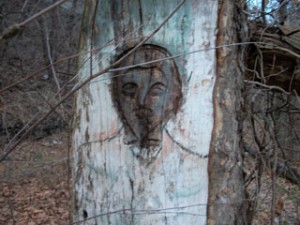  Art is carved into the bark of tree of the Palisades. (Photo by Darren Tobia)